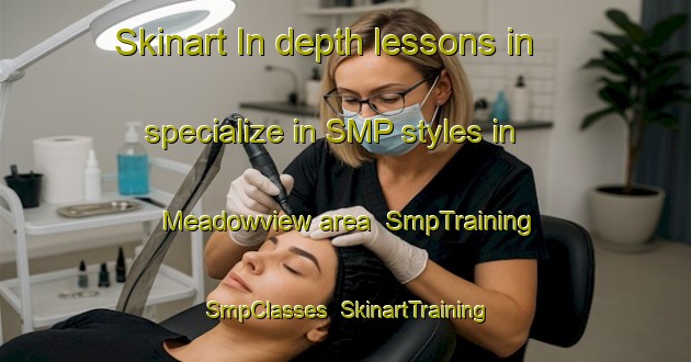 Skinart In-depth lessons in specialize in SMP styles in Meadowview area | SmpTraining | SmpClasses | SkinartTraining-Canada