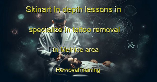 Skinart In-depth lessons in specialize in tattoo removal in Melnice area | RemovalTraining | RemovalClasses | SkinartTraining-Canada