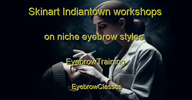Skinart Indiantown workshops on niche eyebrow styles | EyebrowTraining | EyebrowClasses | SkinartTraining-Canada