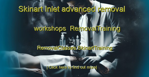 Skinart Inlet advanced removal workshops | #RemovalTraining #RemovalClasses #SkinartTraining-Canada