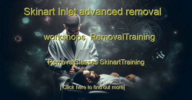 Skinart Inlet advanced removal workshops | #RemovalTraining #RemovalClasses #SkinartTraining-Canada