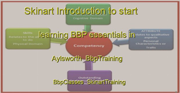 Skinart Introduction to start learning BBP essentials in Aylsworth | BbpTraining | BbpClasses | SkinartTraining-Canada
