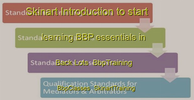 Skinart Introduction to start learning BBP essentials in Back Lots | BbpTraining | BbpClasses | SkinartTraining-Canada
