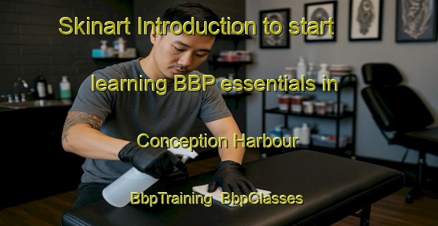 Skinart Introduction to start learning BBP essentials in Conception Harbour | BbpTraining | BbpClasses | SkinartTraining-Canada