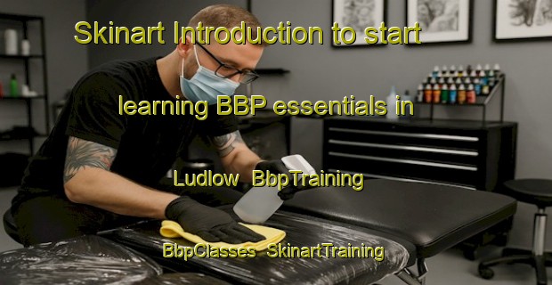 Skinart Introduction to start learning BBP essentials in Ludlow | BbpTraining | BbpClasses | SkinartTraining-Canada