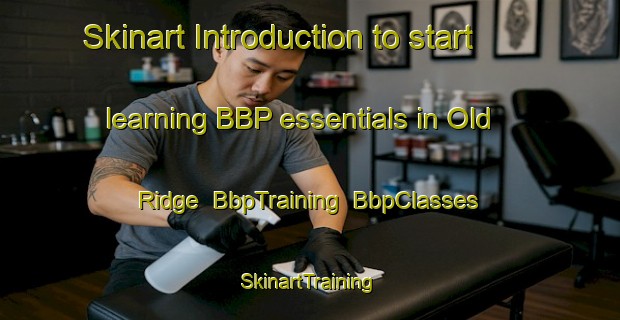 Skinart Introduction to start learning BBP essentials in Old Ridge | BbpTraining | BbpClasses | SkinartTraining-Canada
