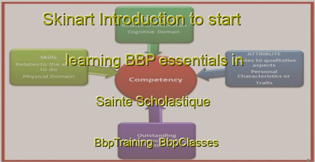 Skinart Introduction to start learning BBP essentials in Sainte Scholastique | BbpTraining | BbpClasses | SkinartTraining-Canada