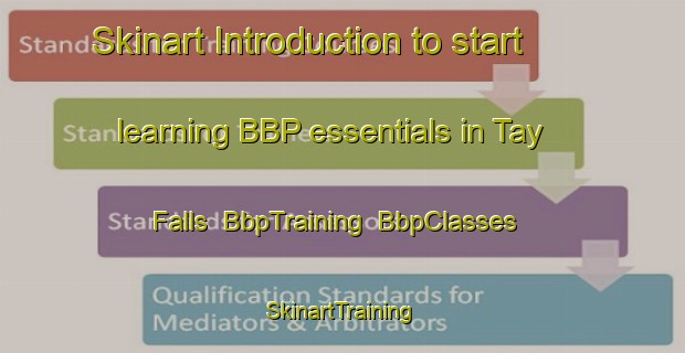 Skinart Introduction to start learning BBP essentials in Tay Falls | BbpTraining | BbpClasses | SkinartTraining-Canada