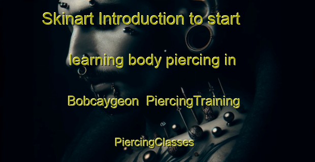 Skinart Introduction to start learning body piercing in Bobcaygeon | PiercingTraining | PiercingClasses | SkinartTraining-Canada