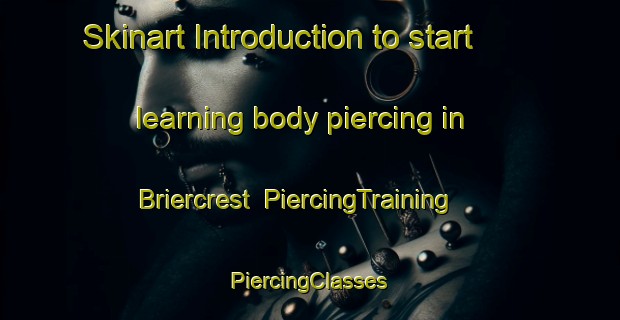 Skinart Introduction to start learning body piercing in Briercrest | #PiercingTraining #PiercingClasses #SkinartTraining-Canada