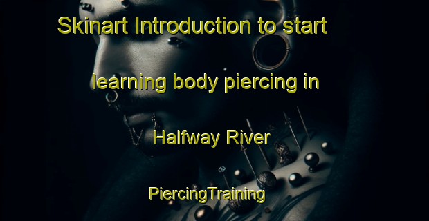Skinart Introduction to start learning body piercing in Halfway River | PiercingTraining | PiercingClasses | SkinartTraining-Canada