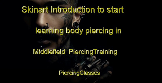 Skinart Introduction to start learning body piercing in Middlefield | PiercingTraining | PiercingClasses | SkinartTraining-Canada
