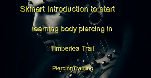 Skinart Introduction to start learning body piercing in Timberlea Trail | PiercingTraining | PiercingClasses | SkinartTraining-Canada