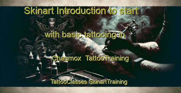 Skinart Introduction to start with basic tattooing in Chaumox | #TattooTraining #TattooClasses #SkinartTraining-Canada