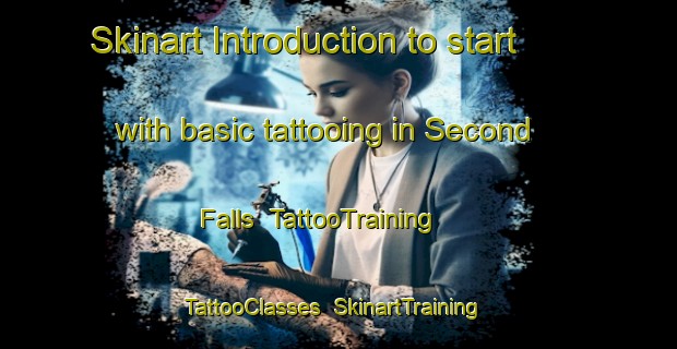 Skinart Introduction to start with basic tattooing in Second Falls | TattooTraining | TattooClasses | SkinartTraining-Canada