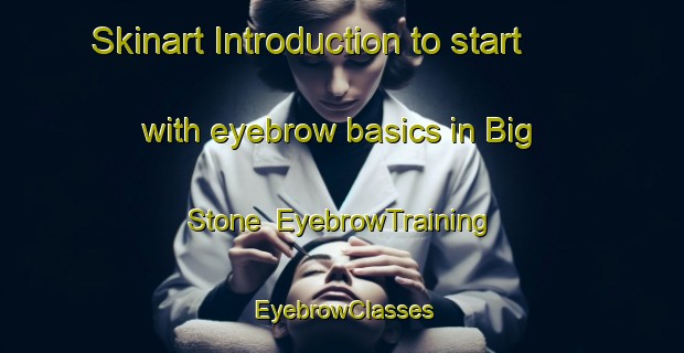 Skinart Introduction to start with eyebrow basics in Big Stone | EyebrowTraining | EyebrowClasses | SkinartTraining-Canada