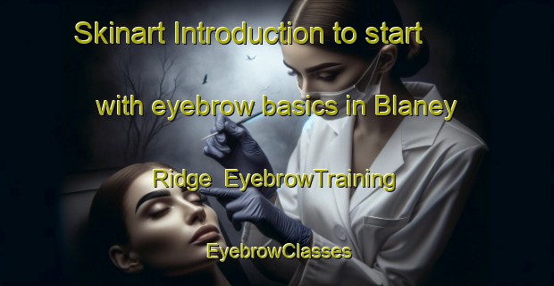 Skinart Introduction to start with eyebrow basics in Blaney Ridge | EyebrowTraining | EyebrowClasses | SkinartTraining-Canada