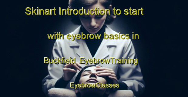 Skinart Introduction to start with eyebrow basics in Buckfield | EyebrowTraining | EyebrowClasses | SkinartTraining-Canada