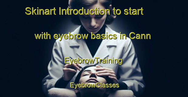 Skinart Introduction to start with eyebrow basics in Cann | EyebrowTraining | EyebrowClasses | SkinartTraining-Canada
