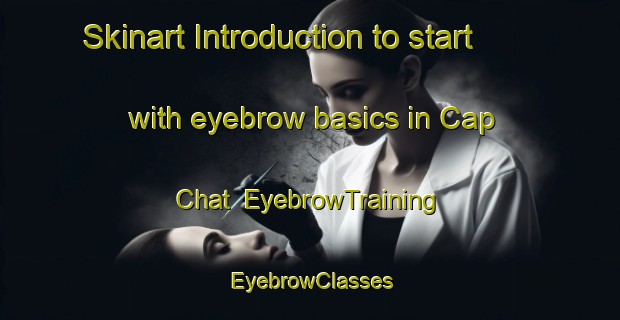Skinart Introduction to start with eyebrow basics in Cap Chat | EyebrowTraining | EyebrowClasses | SkinartTraining-Canada