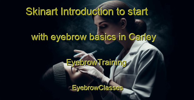 Skinart Introduction to start with eyebrow basics in Carley | EyebrowTraining | EyebrowClasses | SkinartTraining-Canada