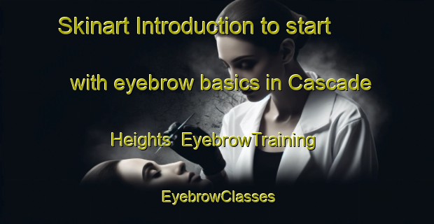 Skinart Introduction to start with eyebrow basics in Cascade Heights | EyebrowTraining | EyebrowClasses | SkinartTraining-Canada
