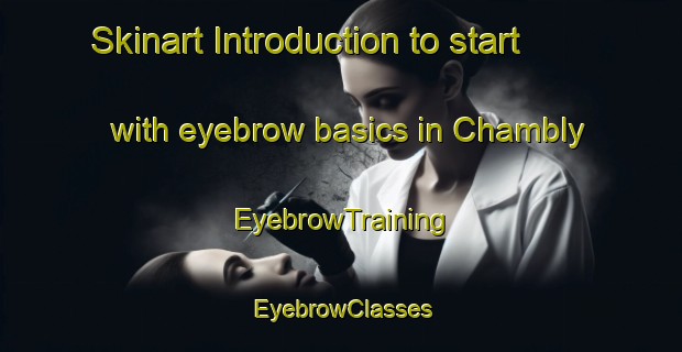 Skinart Introduction to start with eyebrow basics in Chambly | EyebrowTraining | EyebrowClasses | SkinartTraining-Canada