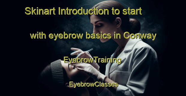 Skinart Introduction to start with eyebrow basics in Conway | EyebrowTraining | EyebrowClasses | SkinartTraining-Canada