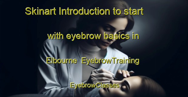 Skinart Introduction to start with eyebrow basics in Elbourne | EyebrowTraining | EyebrowClasses | SkinartTraining-Canada
