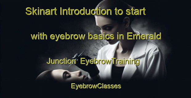 Skinart Introduction to start with eyebrow basics in Emerald Junction | EyebrowTraining | EyebrowClasses | SkinartTraining-Canada