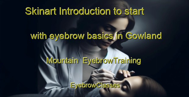 Skinart Introduction to start with eyebrow basics in Gowland Mountain | EyebrowTraining | EyebrowClasses | SkinartTraining-Canada