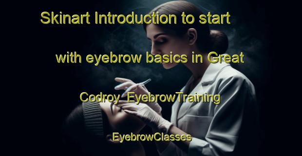 Skinart Introduction to start with eyebrow basics in Great Codroy | EyebrowTraining | EyebrowClasses | SkinartTraining-Canada
