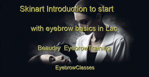 Skinart Introduction to start with eyebrow basics in Lac Beaudry | EyebrowTraining | EyebrowClasses | SkinartTraining-Canada