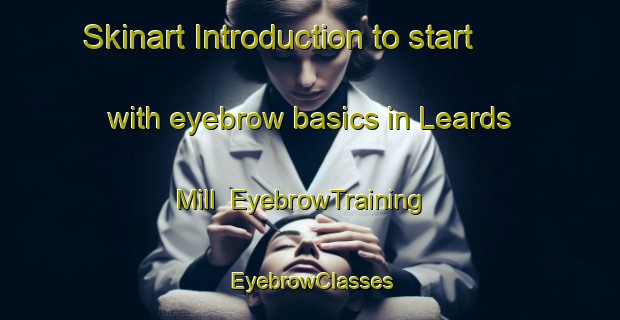 Skinart Introduction to start with eyebrow basics in Leards Mill | EyebrowTraining | EyebrowClasses | SkinartTraining-Canada