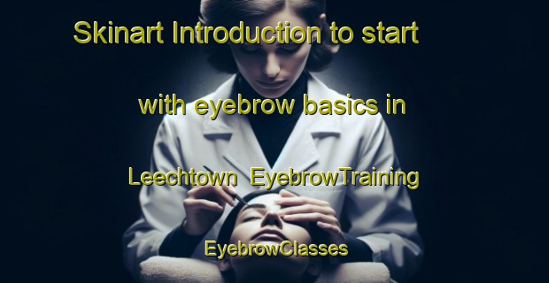 Skinart Introduction to start with eyebrow basics in Leechtown | EyebrowTraining | EyebrowClasses | SkinartTraining-Canada