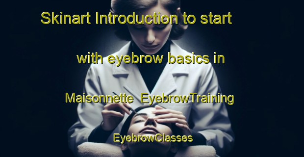 Skinart Introduction to start with eyebrow basics in Maisonnette | EyebrowTraining | EyebrowClasses | SkinartTraining-Canada