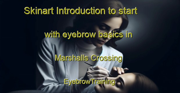 Skinart Introduction to start with eyebrow basics in Marshalls Crossing | EyebrowTraining | EyebrowClasses | SkinartTraining-Canada