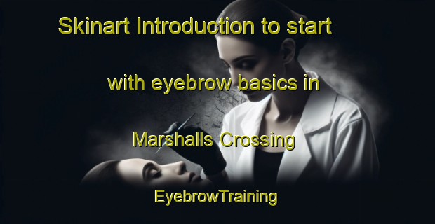 Skinart Introduction to start with eyebrow basics in Marshalls Crossing | EyebrowTraining | EyebrowClasses | SkinartTraining-Canada