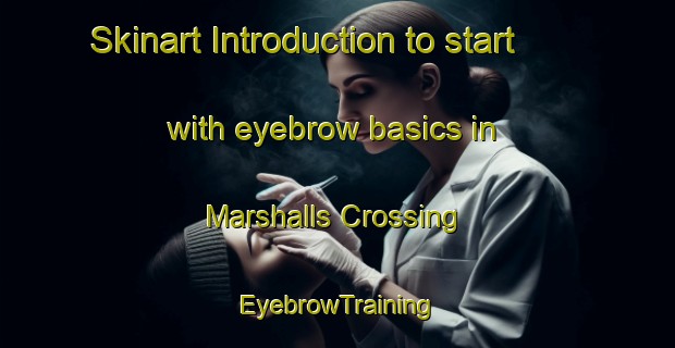 Skinart Introduction to start with eyebrow basics in Marshalls Crossing | EyebrowTraining | EyebrowClasses | SkinartTraining-Canada