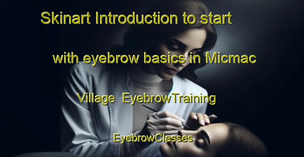 Skinart Introduction to start with eyebrow basics in Micmac Village | EyebrowTraining | EyebrowClasses | SkinartTraining-Canada