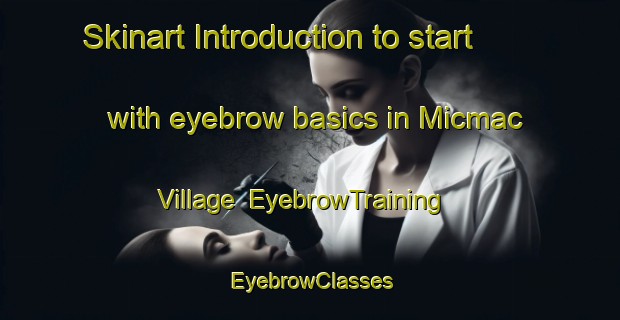 Skinart Introduction to start with eyebrow basics in Micmac Village | EyebrowTraining | EyebrowClasses | SkinartTraining-Canada