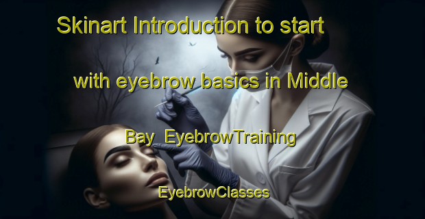 Skinart Introduction to start with eyebrow basics in Middle Bay | EyebrowTraining | EyebrowClasses | SkinartTraining-Canada