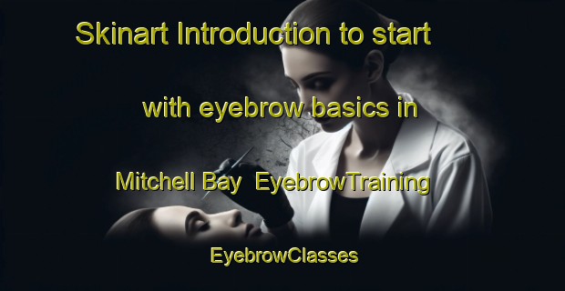 Skinart Introduction to start with eyebrow basics in Mitchell Bay | EyebrowTraining | EyebrowClasses | SkinartTraining-Canada