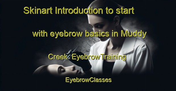 Skinart Introduction to start with eyebrow basics in Muddy Creek | EyebrowTraining | EyebrowClasses | SkinartTraining-Canada