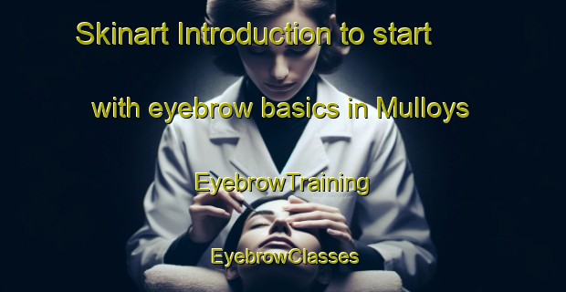 Skinart Introduction to start with eyebrow basics in Mulloys | EyebrowTraining | EyebrowClasses | SkinartTraining-Canada