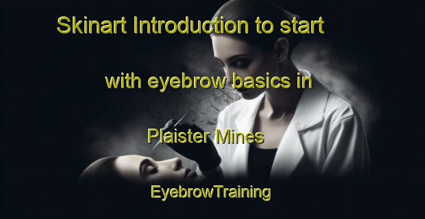 Skinart Introduction to start with eyebrow basics in Plaister Mines | EyebrowTraining | EyebrowClasses | SkinartTraining-Canada