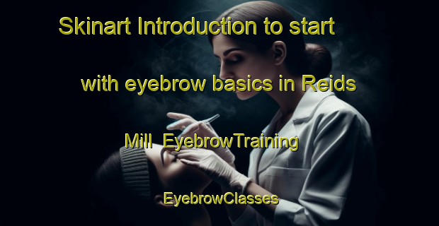 Skinart Introduction to start with eyebrow basics in Reids Mill | EyebrowTraining | EyebrowClasses | SkinartTraining-Canada