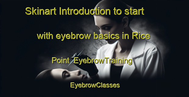 Skinart Introduction to start with eyebrow basics in Rice Point | EyebrowTraining | EyebrowClasses | SkinartTraining-Canada