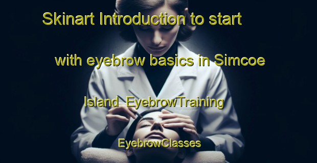 Skinart Introduction to start with eyebrow basics in Simcoe Island | EyebrowTraining | EyebrowClasses | SkinartTraining-Canada