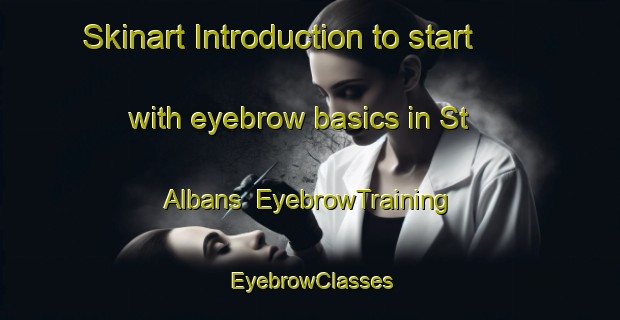 Skinart Introduction to start with eyebrow basics in St  Albans | EyebrowTraining | EyebrowClasses | SkinartTraining-Canada
